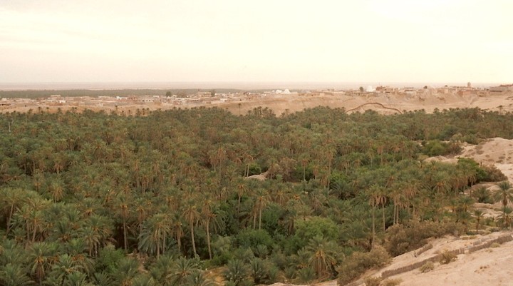 La Corbeille de Nefta
