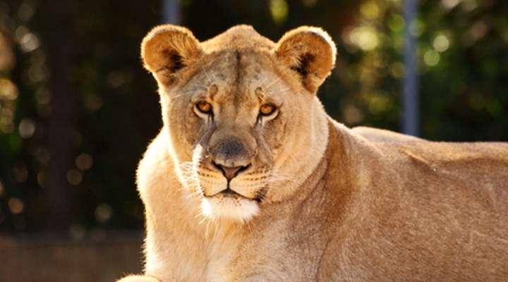 Pretoria Zoo