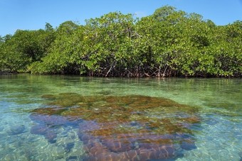 Nieuw: met TUI naar Costa Rica