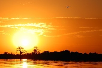 Top 5 excursies Senegal