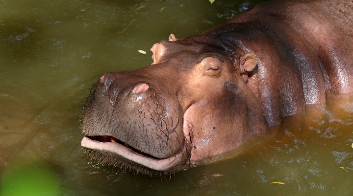 Ajai Game Reserve