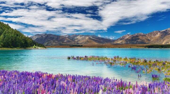 Lake Tekapo