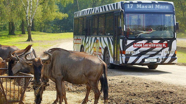 Safaripark Beekse Bergen