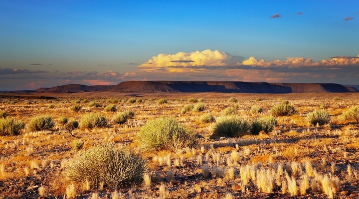 Kalahari woestijn