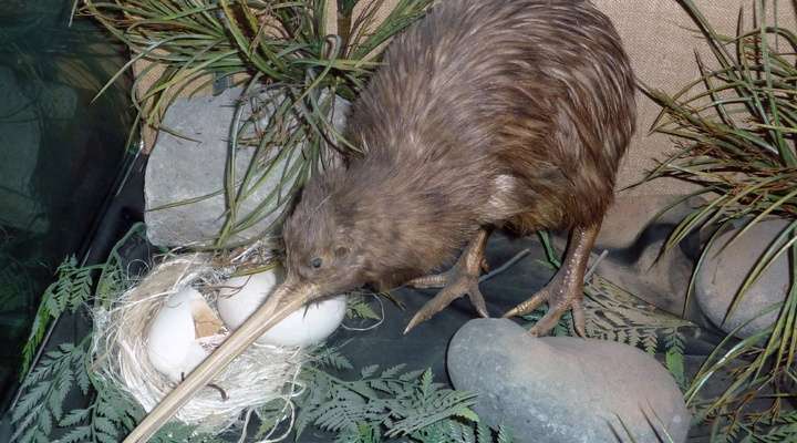 Orana Wildlife Park