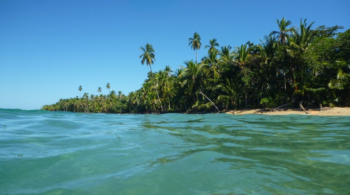 Isla del Caño