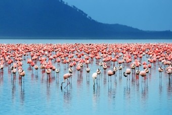 Bijzondere excursies in Namibië