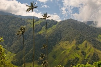 Werelderfgoed in Colombia