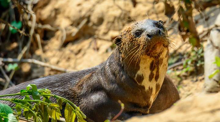 Aqua Zoo Friesland