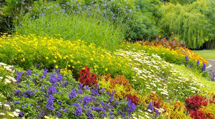Akureyri Botanical Gardens