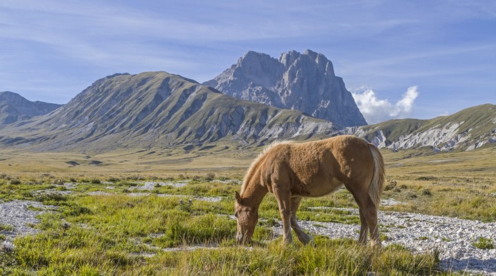Nationaal Park Abruzzo