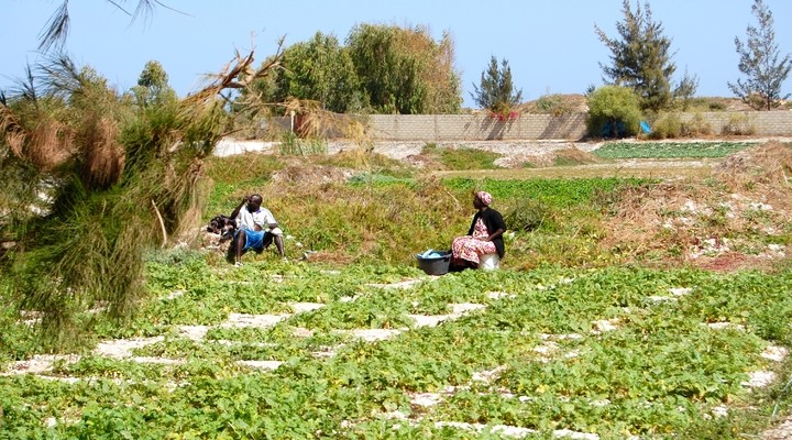 Vakantieverhaal Over Senegal Senegal Eerste Stappen Op Afrikaanse Bodem Reisgraag Nl