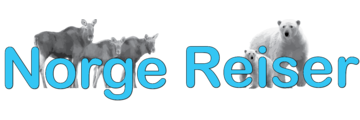 Logo van Norge Reiser