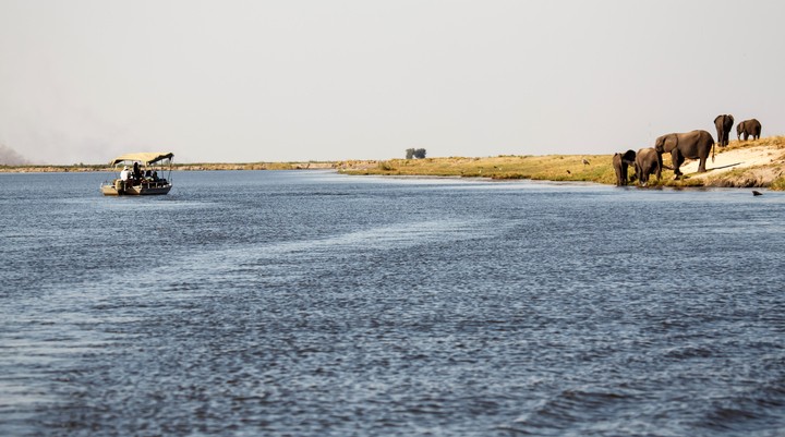 Bootexcursie Chobe National Park