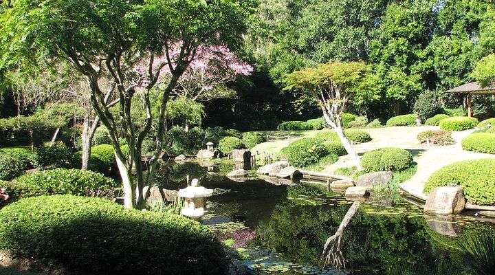 Mount Coot-tha