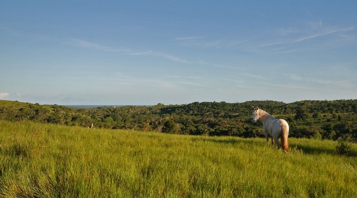 Paardrijden in Tibau Do Sul