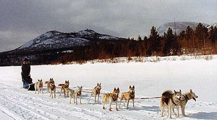 Wintersport in Lapland