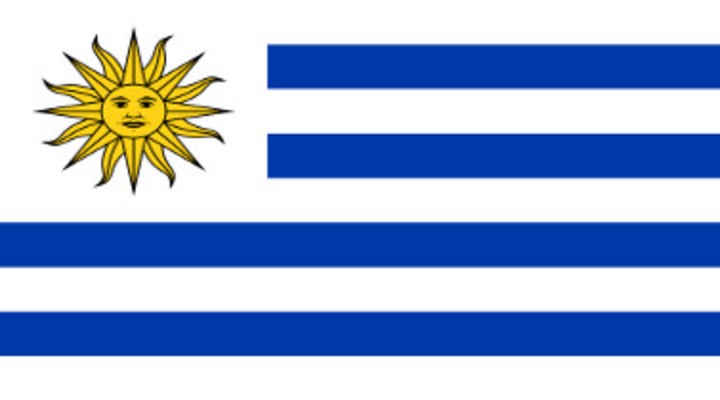 De vlag van Uruguay