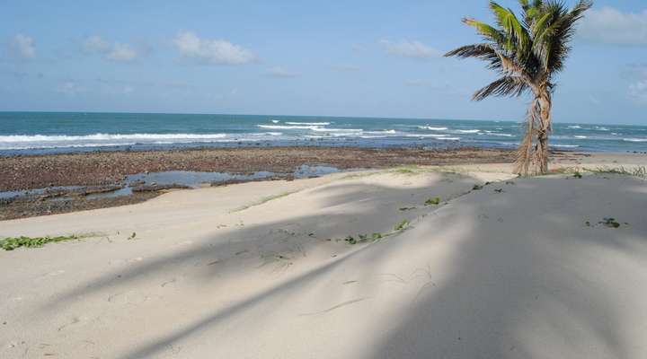 Stranden van Zuid-Afrika