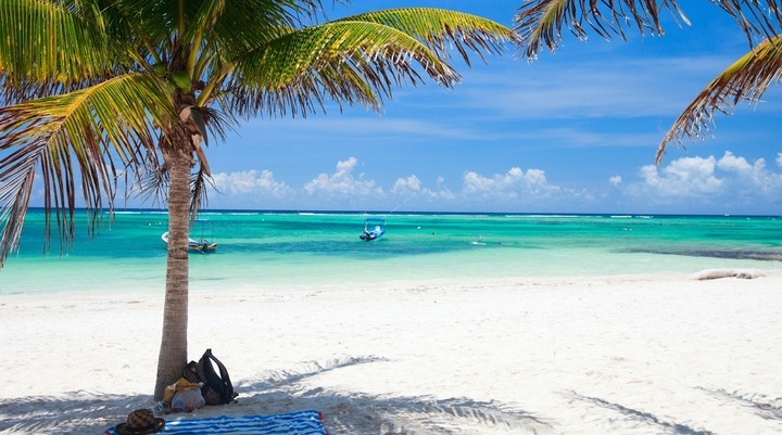 Playa el Palmar