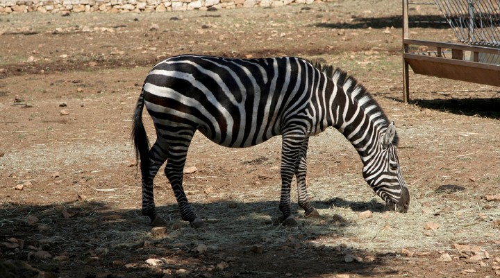 Mlawula Natuurreservaat