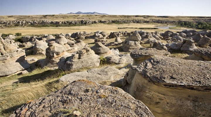 Dinosaur Provincial Park