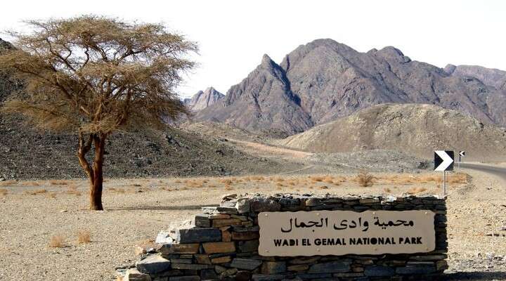 Wadi El Gamal National Park