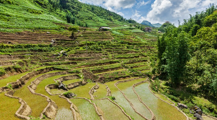 Rijstterrassen van Banaue