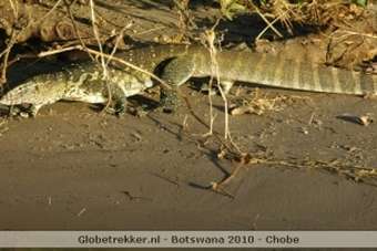 Welkom in Botswana