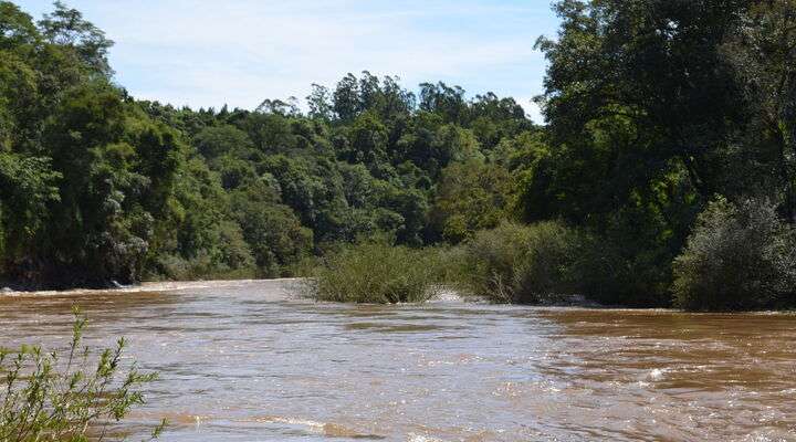Pirai River