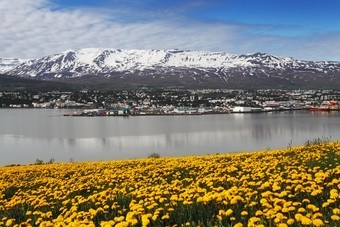 Nieuw bij SNP: Kampeerrondreizen Portugal en IJsland