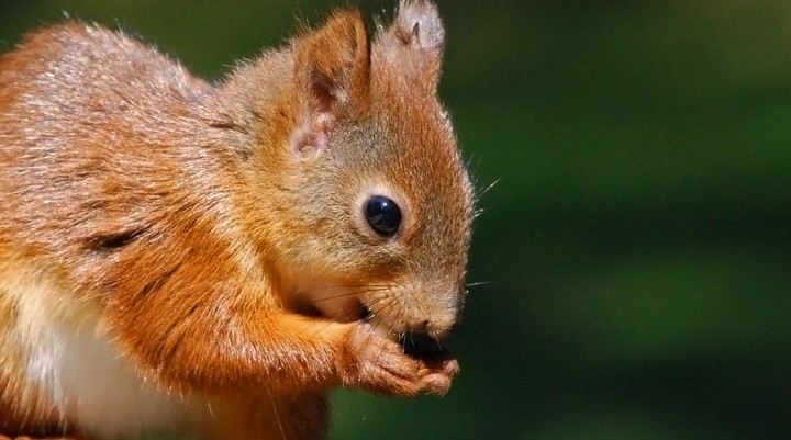 Cairngorms National Park