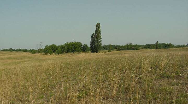 Kiskunsági Nemzeti Park