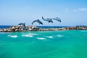 weerbericht jamaica montego bay