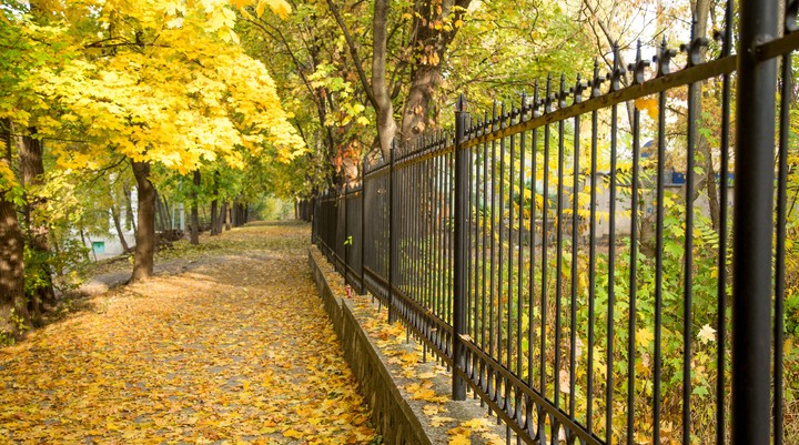Het Parcul Valea Morilor