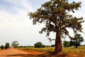 Mooiste plekken Gambia