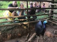 Floortje naar Papoea Nieuw Guinea