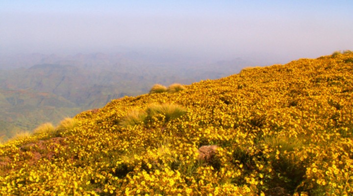 Simien Mountains National Park