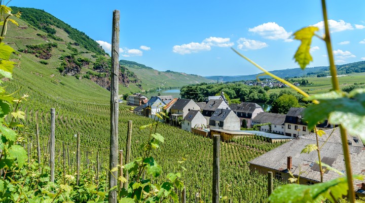 Moseltal