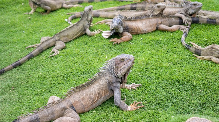 Parque Bolívar