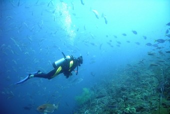 Duiken op Micronesia