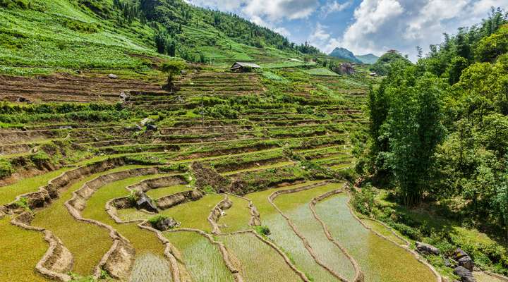 Rijstterrassen van Banaue