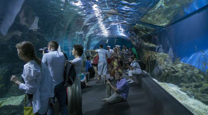 Underwater World