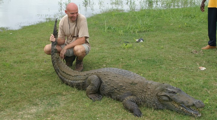 Krokodil, Pagu, Ghana