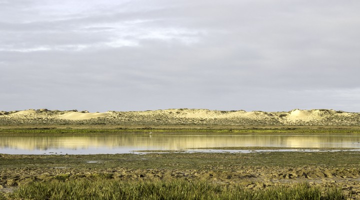 Desert Island