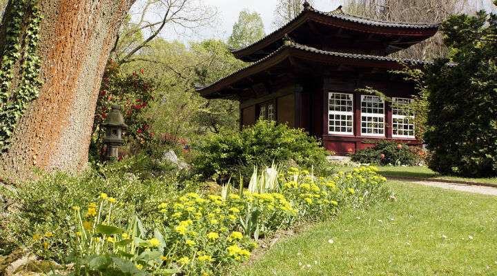 Japanischer Garten Leverkusen