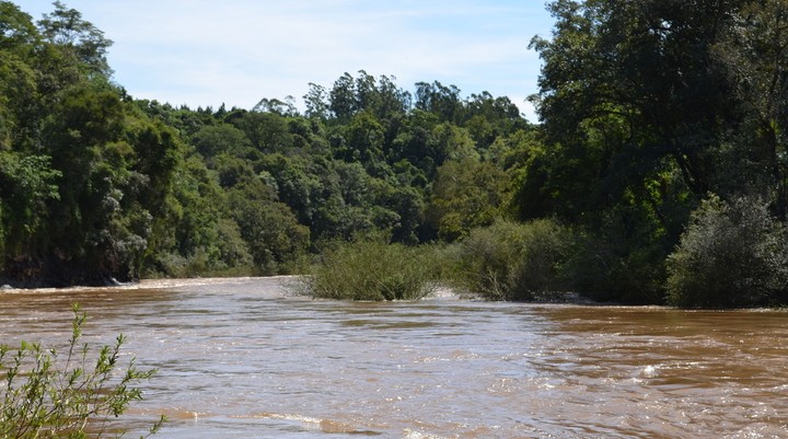 Pirai River