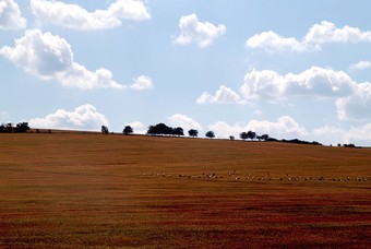 Rondreizen in Moldavië