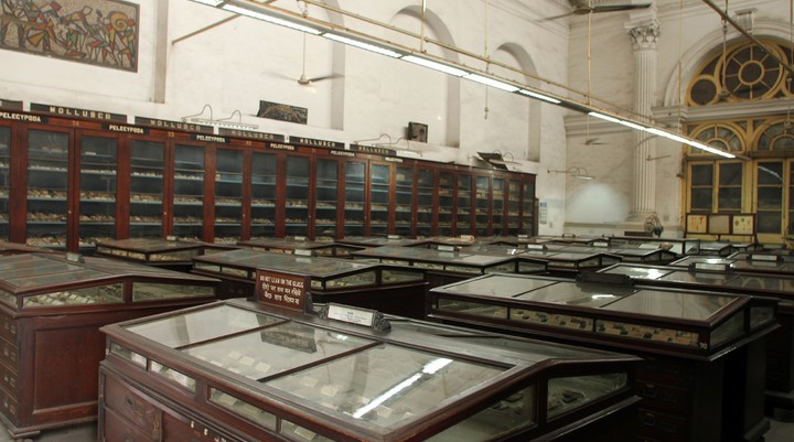 Indian Museum