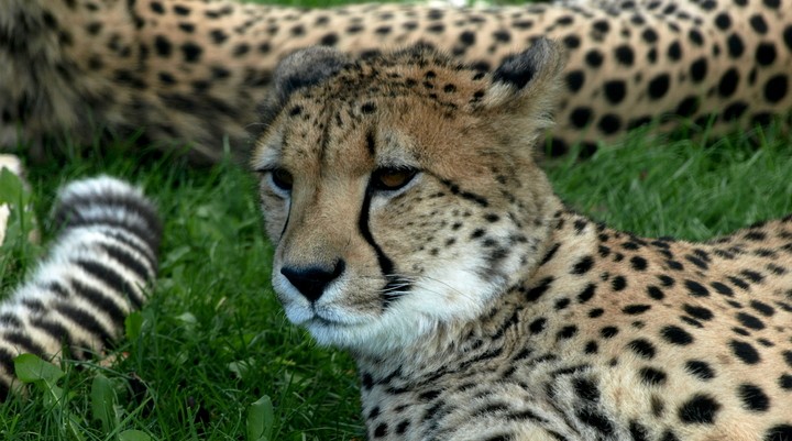 Kafue National Park